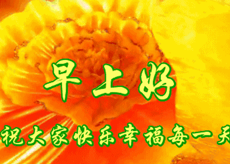 想你,念你,祝福你,清晨的第一声问候送给