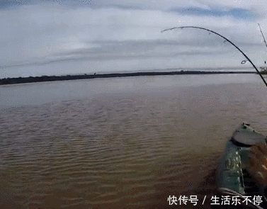 大鱼上钩了,鱼力气太大了,不好遛鱼,最后没能得到鱼,可惜了