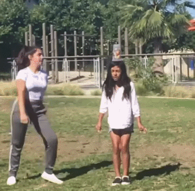 搞笑gif:谁能告诉我这只斑马是不是二哈进化的?