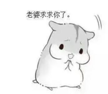 哄老婆表情包:老婆大人对不起,好喜欢老婆,我老婆超级