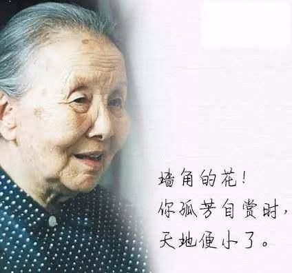 冰心的墓碑被亲孙子涂写了"教子无方,枉为人表",这是为哪般?