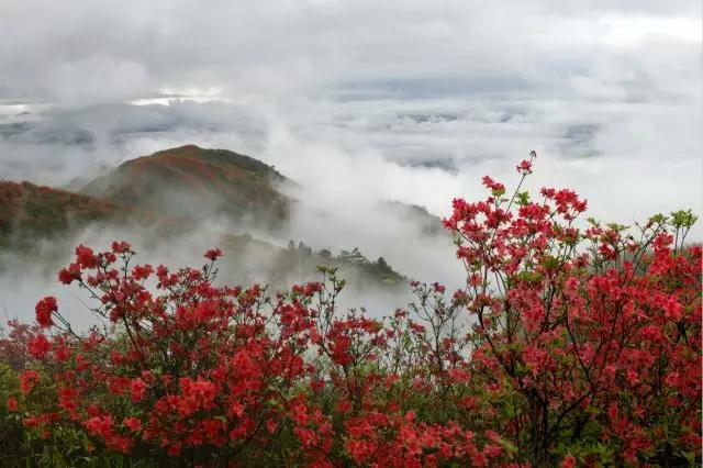 井冈山景区,安福武功山,羊狮慕景区三·八国际妇女节优惠信息公告