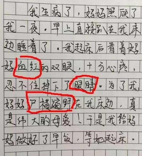 小学生笑死人爆炸作文!"由于外婆去世,明天想回去陪葬