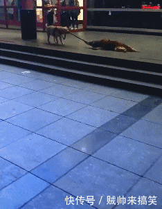 搞笑gif: 被一包辣条征服的女人, 这满足感也是醉醉的