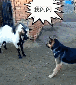 搞笑图:这妹子一看就是骗子,第一句话就说谎了 搞笑gif:这一定是某个