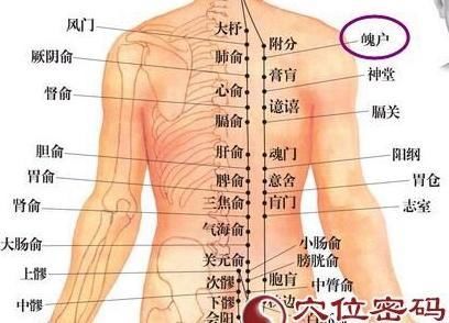 可以按摩肾俞穴缓解,肾俞穴在腰上,具体位置看穴位图最清楚