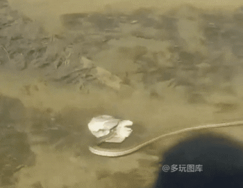 搞笑gif:第一次相亲孤男寡女独处,妹子挺主动的,都坐床上十分钟了