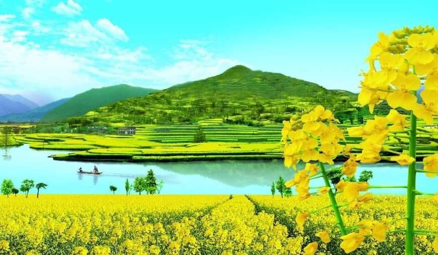 汉中油菜花也是汉中盆地上的一道绝美风景.