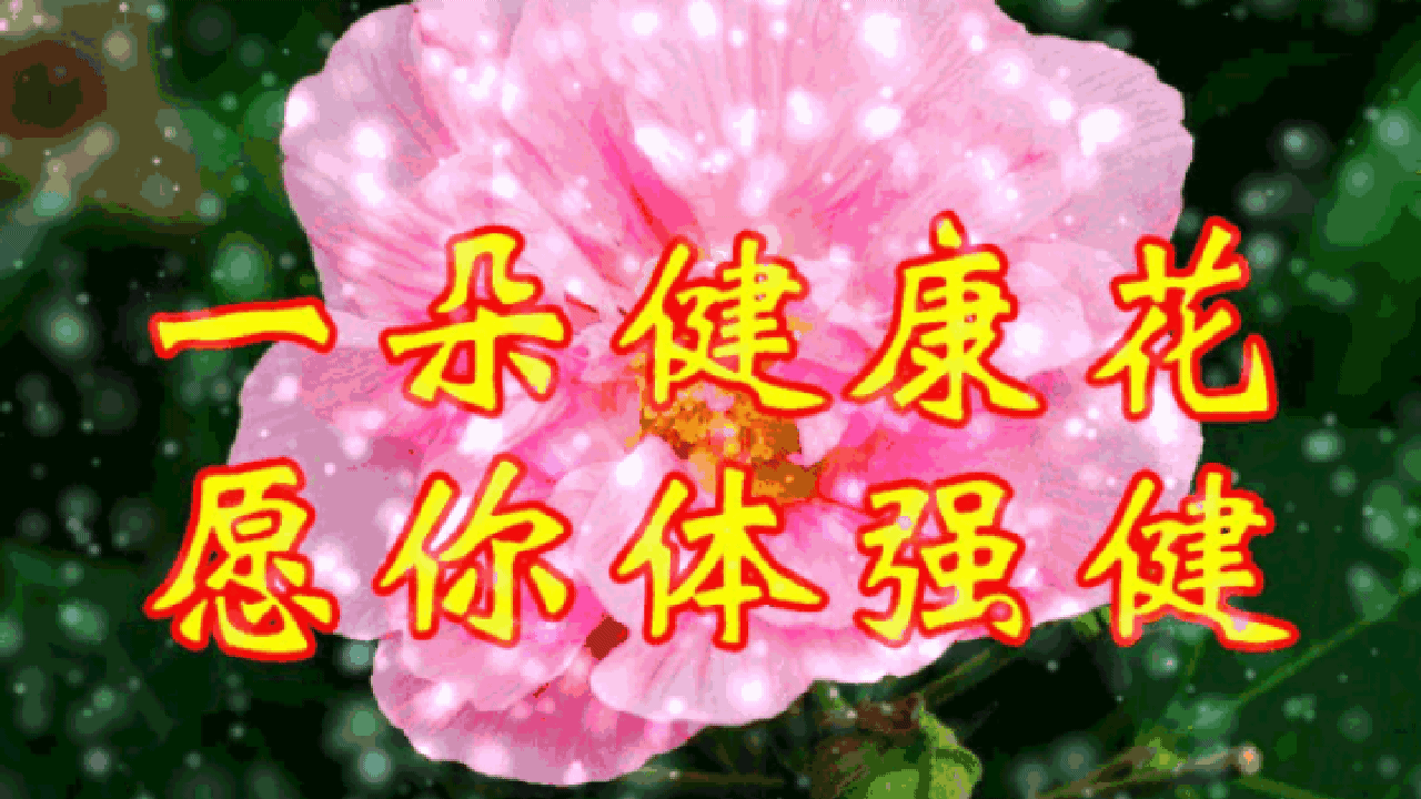 早晨安好!送你八朵祝福花,愿你一天到晚乐开花