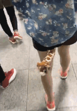 搞笑gif图:考试递小纸条,莫名其妙的就递老师手里了