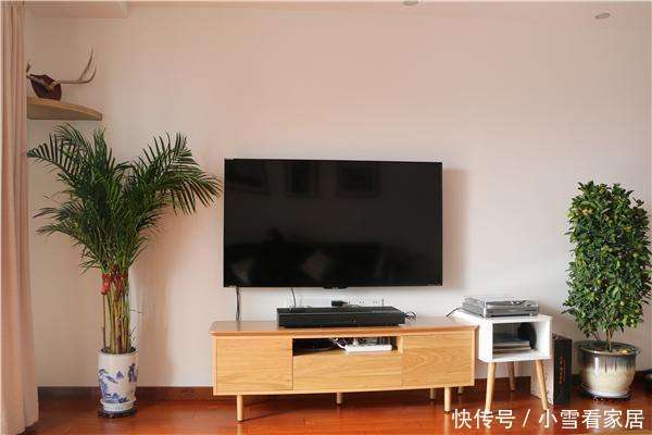 客厅没有设计电视背景墙,摆放一个简单的电视柜,搭配大大的绿植,很