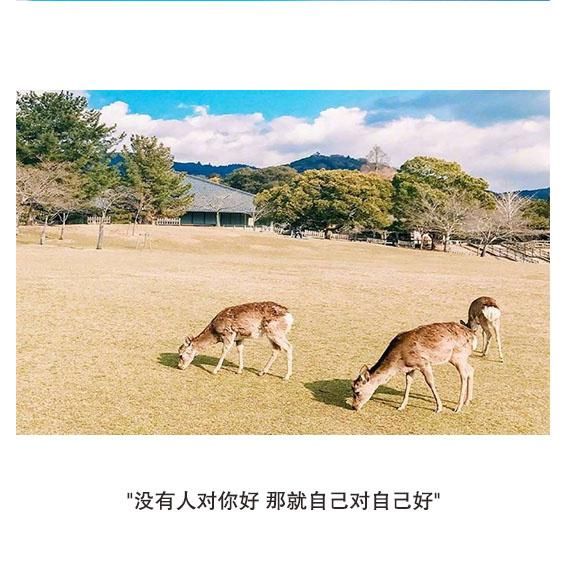 以后只对两种人好:一种是对我好的人,一种是懂得我的好的人