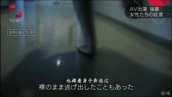 发现av的真相后,我再不能直视硬盘