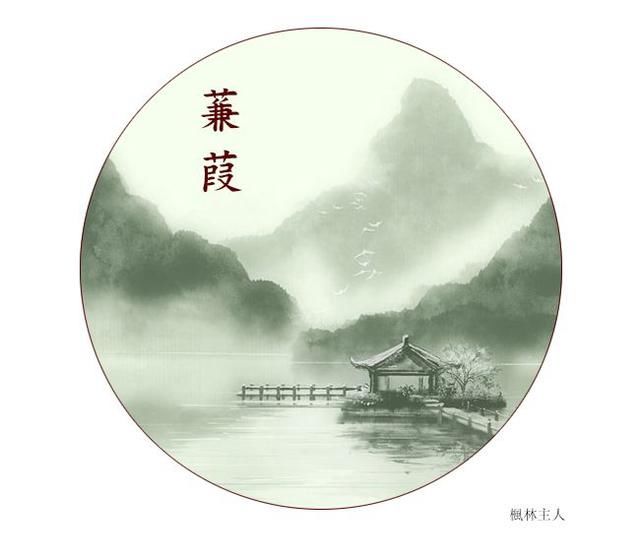 三分钟古诗词(七):蒹葭《诗经》