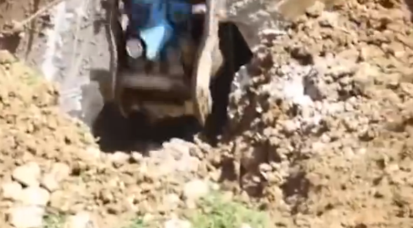 挖掘机挖塌熊洞:"房主"愤怒冲出