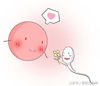 静医生教备孕:我们女性到底怎样才更容易受孕呢!
