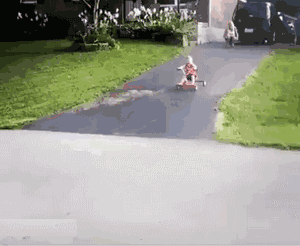 搞笑gif:兄弟好久不见了,你咋变成这狗样儿了