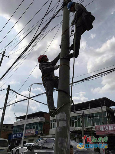 电线杆热得发烫 晒5分钟就头晕(图)