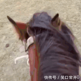 搞笑幽默的动态图gif 想要闺蜜的表情包?或许一块柠檬