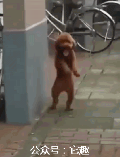 搞笑gif:看完才明白,为什么有些女生睡完就被甩了!