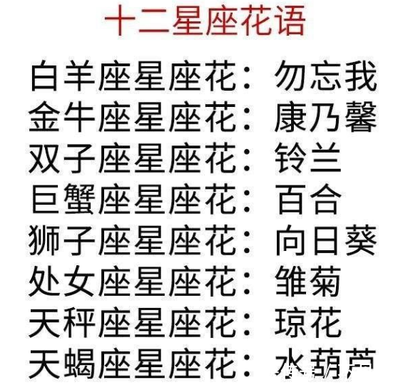 【十二星座花语】 金牛座:康乃馨(宏大之美,洁净,母爱,热恋,爱与美)