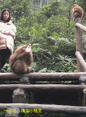 7. 猴哥:妖怪,站住,吃俺老孙一棒!