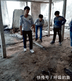 搞笑gif:这是新版武松打虎吗,这西门大官人的表情略显