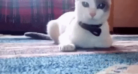 搞笑gif:秀恩爱应该有尺度,你们这样亲嘴跟两女一杯差