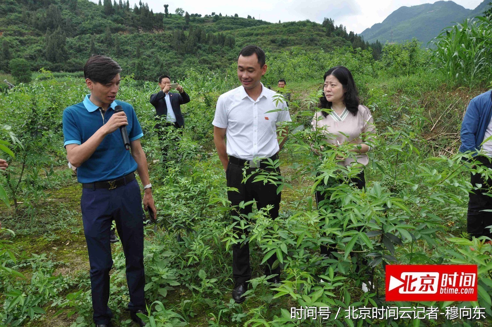 桐梓县容光镇党委书记周明勇正在调研花椒产业.(资料图片)