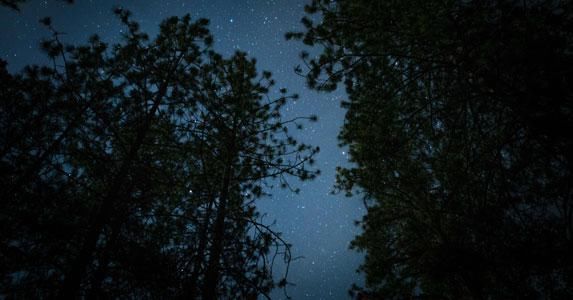 梦见自己生小孩，生命与死亡的循环之梦