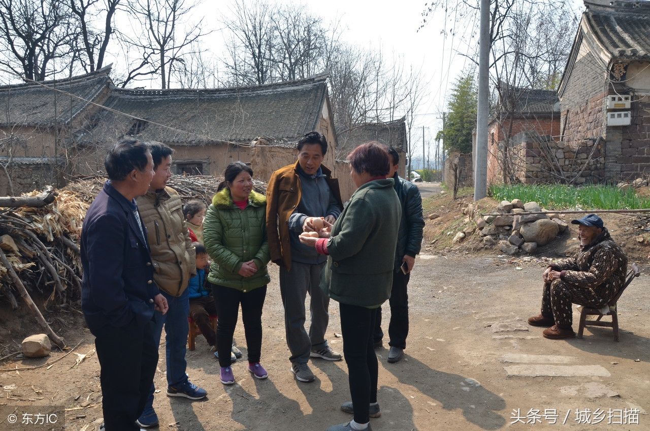 河南大妈收获超大鸡蛋,一个顶普通鸡蛋3个,她想申请吉尼斯记录