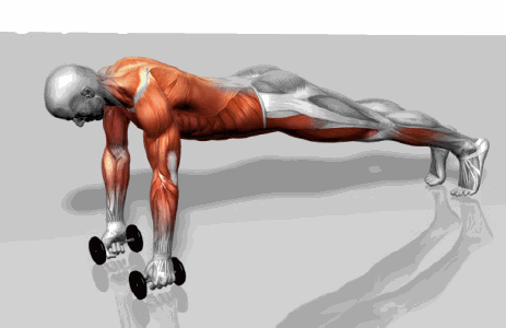 动作一:标准俯卧撑 锻炼肌肉:肱三头肌,三角肌,前锯肌和喙肱肌 动作