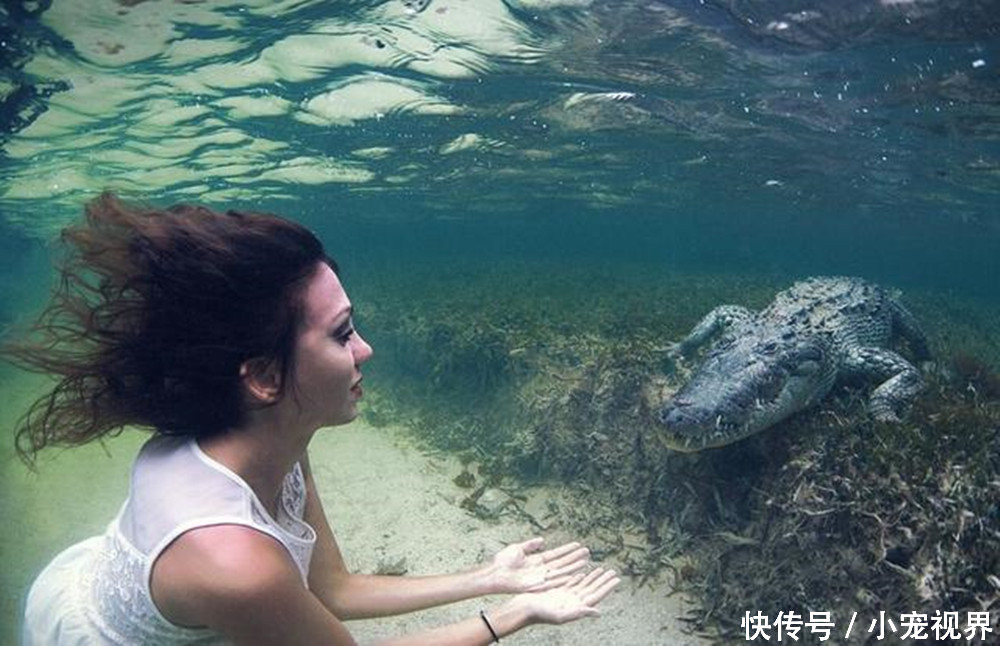 鳄鱼和美女零距离接触,张开大嘴的鳄鱼,竟让人意料不到