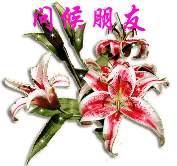 虽然未曾谋面 但彼此的关怀抵过一切 在此祝大家 阖家幸福,团圆美满