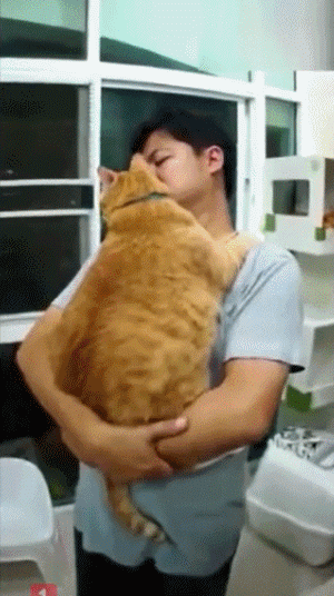 搞笑gif:以为是个小孩子,谁知道