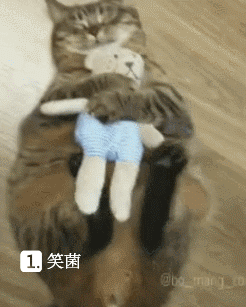 搞笑gif图:她家光有客人进出,却没一个人买她东西,老可怜了!