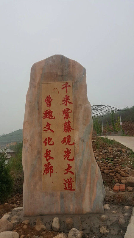 五月的山海农庄,一片花海,很多人都想在这个安阳的北海道安家!