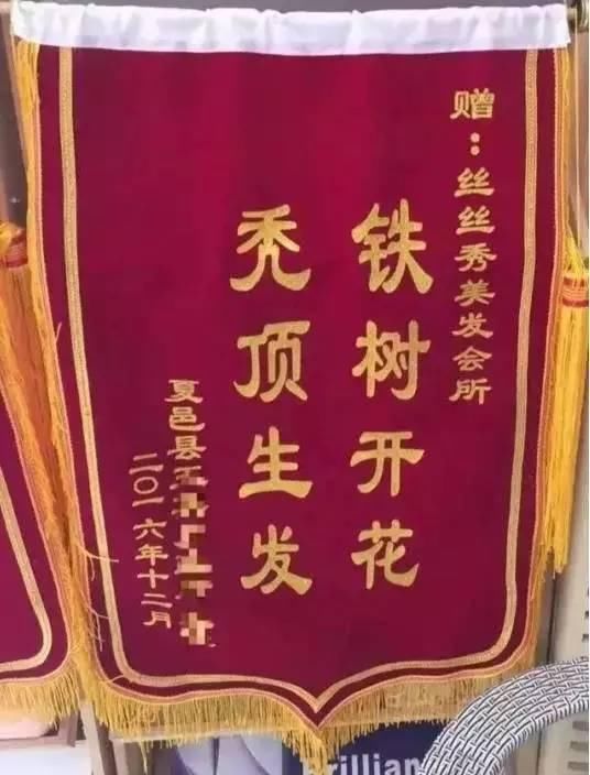"治我猫病,救我狗命" 铲屎官们送的奇葩锦旗
