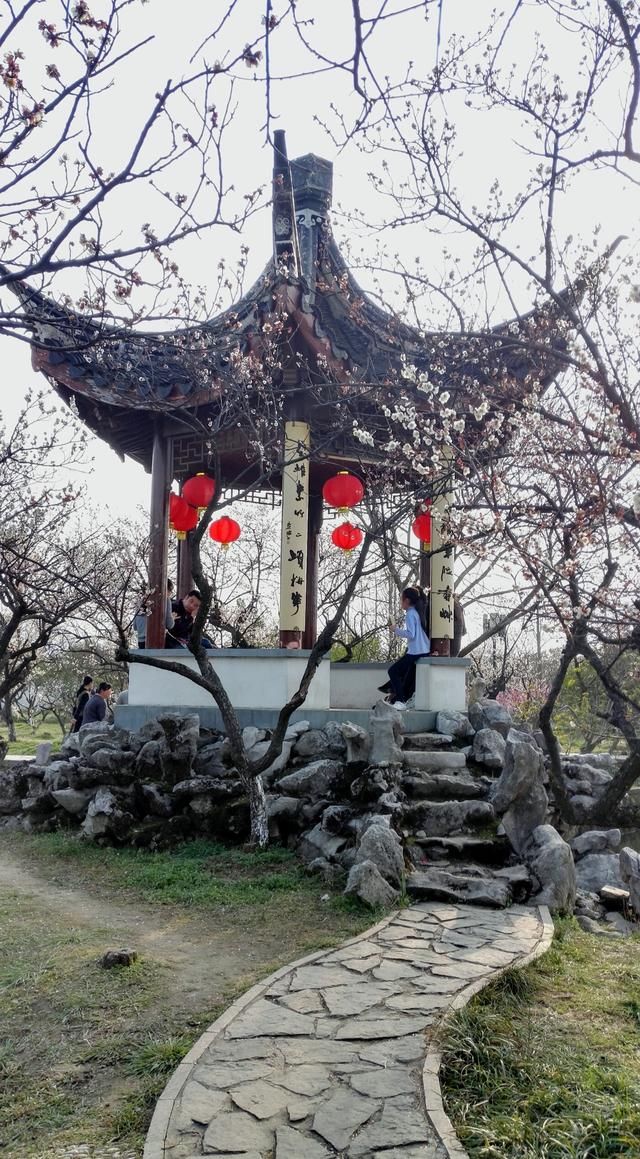 正值春花烂漫时,相约一起去苏州太湖,西山林屋洞赏梅