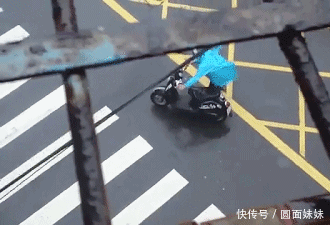 搞笑gif:孩子你也太天真了吧,真以为这样就可以如愿以