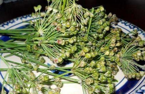 温阳补肾 韭菜子性温,味道辛辣,有补肾温阳的效果.