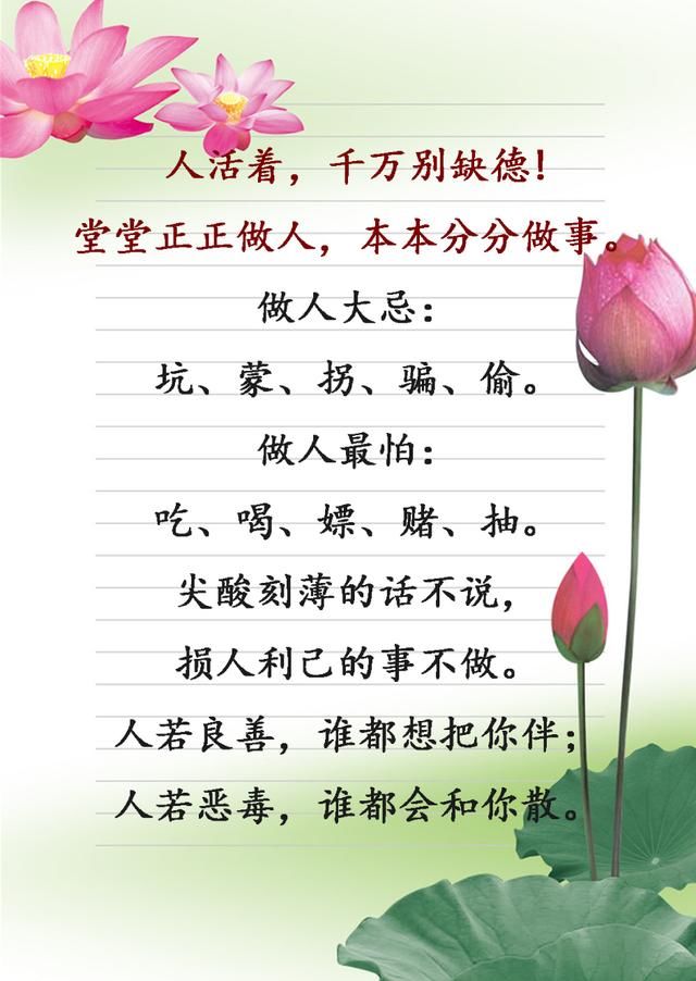 人活着,要堂堂正正做人,本本分分做事(鸡汤美文)