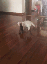 不好意思,您这么粗的手臂我都没瞄准,实在是因为我是第一次,有些紧张