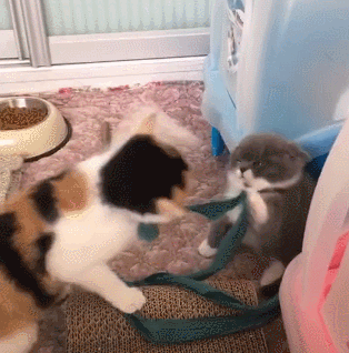 搞笑gif:自己比起00后的撩妹技能差太多了