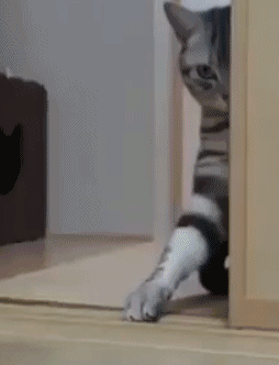 大王爆笑gif趣图:去��的乒乓球梦!被打到放弃梦想