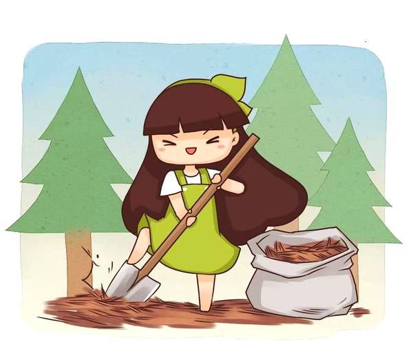 养花就选这种土,不烂根不黄叶,夏天也能蹭蹭爆盆!