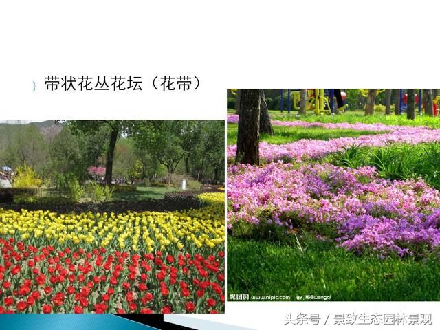 一步步学园林-景观工程花卉室外应用篇