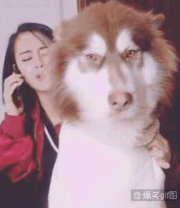 爆笑gif图:当你和女朋友在家里亲热的时候