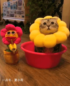 搞笑gif:那么多女同学看着呢,你这么妖娆以后还怎么撩