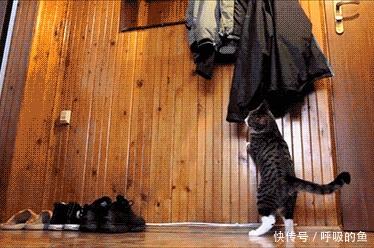 搞笑gif:虽然脸挡住了!但我相信这样就可以秒杀一大片